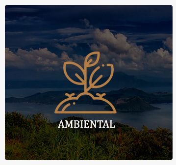 AMBIENTAL